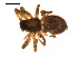  ( - CCDB-04285-B11)  @12 [ ] CreativeCommons - Attribution (2009) Gergin Blagoev, Centre for Biodiversity Genomics Centre for Biodiversity Genomics
