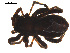  ( - CCDB-04285-H02)  @12 [ ] CreativeCommons - Attribution (2009) Gergin Blagoev, Centre for Biodiversity Genomics Centre for Biodiversity Genomics