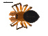  ( - CCDB-04286-A10)  @13 [ ] CreativeCommons - Attribution (2009) Gergin Blagoev, Centre for Biodiversity Genomics Centre for Biodiversity Genomics