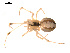  ( - CCDB-04286-E03)  @12 [ ] CreativeCommons - Attribution (2009) Gergin Blagoev, Centre for Biodiversity Genomics Centre for Biodiversity Genomics