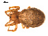  ( - CCDB-04286-G02)  @14 [ ] CreativeCommons - Attribution (2009) Gergin Blagoev, Centre for Biodiversity Genomics Centre for Biodiversity Genomics