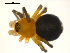  ( - CCDB-05157-B09)  @13 [ ] CreativeCommons - Attribution (2010) Gergin Blagoev, Centre for Biodiversity Genomics Centre for Biodiversity Genomics