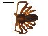 ( - CCDB-05269-B05)  @13 [ ] CreativeCommons - Attribution (2009) Gergin Blagoev, Centre for Biodiversity Genomics Centre for Biodiversity Genomics