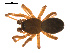  ( - CCDB-05269-B09)  @13 [ ] CreativeCommons - Attribution (2009) Gergin Blagoev, Centre for Biodiversity Genomics Centre for Biodiversity Genomics