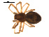  ( - CCDB-05269-C04)  @12 [ ] CreativeCommons - Attribution (2009) Gergin Blagoev, Centre for Biodiversity Genomics Centre for Biodiversity Genomics