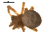  ( - CCDB-05269-H01)  @12 [ ] CreativeCommons - Attribution (2009) Gergin Blagoev, Centre for Biodiversity Genomics Centre for Biodiversity Genomics