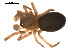  ( - CCDB-05296-H01)  @12 [ ] CreativeCommons - Attribution (2009) Gergin Blagoev, Centre for Biodiversity Genomics Centre for Biodiversity Genomics