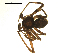  ( - CCDB-05302-B07)  @13 [ ] CreativeCommons - Attribution  Gergin Blagoev, Centre for Biodiversity Genomics Centre for Biodiversity Genomics