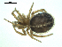  ( - CCDB-05302-G05)  @13 [ ] CreativeCommons - Attribution  Gergin Blagoev, Centre for Biodiversity Genomics Centre for Biodiversity Genomics