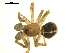  ( - CCDB-05302-G07)  @13 [ ] CreativeCommons - Attribution  Gergin Blagoev, Centre for Biodiversity Genomics Centre for Biodiversity Genomics