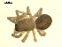  ( - CCDB-05302-G12)  @13 [ ] CreativeCommons - Attribution  Gergin Blagoev, Centre for Biodiversity Genomics Centre for Biodiversity Genomics