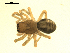  ( - CCDB-05302-H09)  @13 [ ] CreativeCommons - Attribution  Gergin Blagoev, Centre for Biodiversity Genomics Centre for Biodiversity Genomics