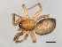  ( - CCDB-04550-A01)  @12 [ ] CreativeCommons - Attribution (2010) Unspecified Centre for Biodiversity Genomics