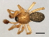  ( - CCDB-04550-A04)  @12 [ ] CreativeCommons - Attribution (2010) Unspecified Centre for Biodiversity Genomics