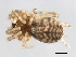  ( - CCDB-04550-H03)  @12 [ ] CreativeCommons - Attribution (2010) Unspecified Centre for Biodiversity Genomics
