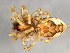  ( - CCDB-04551-C04)  @12 [ ] CreativeCommons - Attribution (2010) Unspecified Centre for Biodiversity Genomics