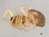  ( - CCDB-04551-C10)  @12 [ ] CreativeCommons - Attribution (2010) Unspecified Centre for Biodiversity Genomics