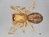  ( - CCDB-04551-D04)  @13 [ ] CreativeCommons - Attribution (2010) Unspecified Centre for Biodiversity Genomics