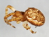  ( - CCDB-04551-E12)  @14 [ ] CreativeCommons - Attribution (2010) Unspecified Centre for Biodiversity Genomics