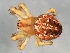  ( - CCDB-04551-F01)  @14 [ ] CreativeCommons - Attribution (2010) Unspecified Centre for Biodiversity Genomics
