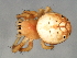  ( - CCDB-04551-F02)  @13 [ ] CreativeCommons - Attribution (2010) Unspecified Centre for Biodiversity Genomics