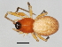  ( - CCDB-04551-F11)  @12 [ ] CreativeCommons - Attribution (2010) Unspecified Centre for Biodiversity Genomics