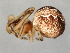  ( - CCDB-04551-G01)  @12 [ ] CreativeCommons - Attribution (2010) Unspecified Centre for Biodiversity Genomics