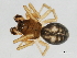  ( - CCDB-04551-H02)  @13 [ ] CreativeCommons - Attribution (2010) Unspecified Centre for Biodiversity Genomics