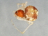  ( - CCDB-04551-H05)  @13 [ ] CreativeCommons - Attribution (2010) Unspecified Centre for Biodiversity Genomics