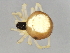  ( - CCDB-04552-B12)  @12 [ ] CreativeCommons - Attribution (2010) Unspecified Centre for Biodiversity Genomics