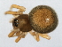  ( - CCDB-04552-E04)  @14 [ ] CreativeCommons - Attribution (2010) Unspecified Centre for Biodiversity Genomics