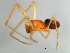  ( - CCDB-04552-H01)  @12 [ ] CreativeCommons - Attribution (2010) Unspecified Centre for Biodiversity Genomics