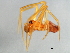  ( - CCDB-04552-H02)  @12 [ ] CreativeCommons - Attribution (2010) Unspecified Centre for Biodiversity Genomics