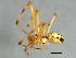 ( - CCDB-04552-H10)  @12 [ ] CreativeCommons - Attribution (2010) Unspecified Centre for Biodiversity Genomics
