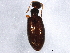  ( - BIOUG01840-C08)  @14 [ ] CreativeCommons - Attribution (2012) CBG Photography Group Centre for Biodiversity Genomics