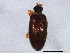  ( - BIOUG01840-C09)  @12 [ ] CreativeCommons - Attribution (2012) CBG Photography Group Centre for Biodiversity Genomics