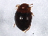  ( - BIOUG01840-G11)  @12 [ ] CreativeCommons - Attribution (2012) CBG Photography Group Centre for Biodiversity Genomics