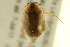  ( - BIOUG02029-C08)  @13 [ ] CreativeCommons - Attribution (2012) CBG Photography Group Centre for Biodiversity Genomics