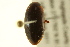  ( - BIOUG02029-F08)  @13 [ ] CreativeCommons - Attribution (2012) CBG Photography Group Centre for Biodiversity Genomics