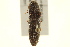  ( - BIOUG02052-A06)  @13 [ ] CreativeCommons - Attribution (2012) CBG Photography Group Centre for Biodiversity Genomics