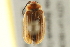  ( - BIOUG02057-D09)  @14 [ ] CreativeCommons - Attribution (2012) CBG Photography Group Centre for Biodiversity Genomics