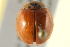  ( - BIOUG02058-B12)  @13 [ ] CreativeCommons - Attribution (2012) CBG Photography Group Centre for Biodiversity Genomics