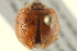 ( - BIOUG02058-C03)  @13 [ ] CreativeCommons - Attribution (2012) CBG Photography Group Centre for Biodiversity Genomics