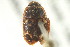  ( - BIOUG02059-G05)  @12 [ ] CreativeCommons - Attribution (2012) CBG Photography Group Centre for Biodiversity Genomics