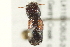  ( - BIOUG02060-B04)  @14 [ ] CreativeCommons - Attribution (2012) CBG Photography Group Centre for Biodiversity Genomics