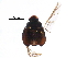  ( - BIOUG02309-C03)  @13 [ ] CreativeCommons - Attribution (2017) CBG Photography Group Centre for Biodiversity Genomics