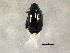  ( - BIOUG02326-E12)  @13 [ ] CreativeCommons - Attribution (2013) CBG Photography Group Centre for Biodiversity Genomics