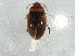  ( - BIOUG02327-C03)  @14 [ ] CreativeCommons - Attribution (2013) CBG Photography Group Centre for Biodiversity Genomics