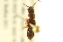  ( - BIOUG02028-E08)  @13 [ ] CreativeCommons - Attribution (2012) CBG Photography Group Centre for Biodiversity Genomics