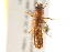  ( - BIOUG02028-G09)  @13 [ ] CreativeCommons - Attribution (2012) CBG Photography Group Centre for Biodiversity Genomics